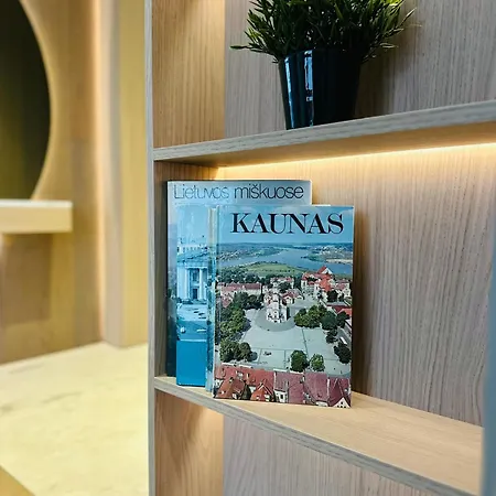 Apartamento Zaliakalnis Luxury